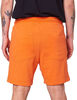 Short Hombre Zoo York