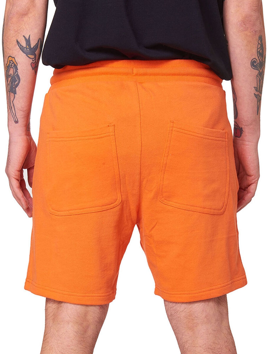 Short Hombre Zoo York
