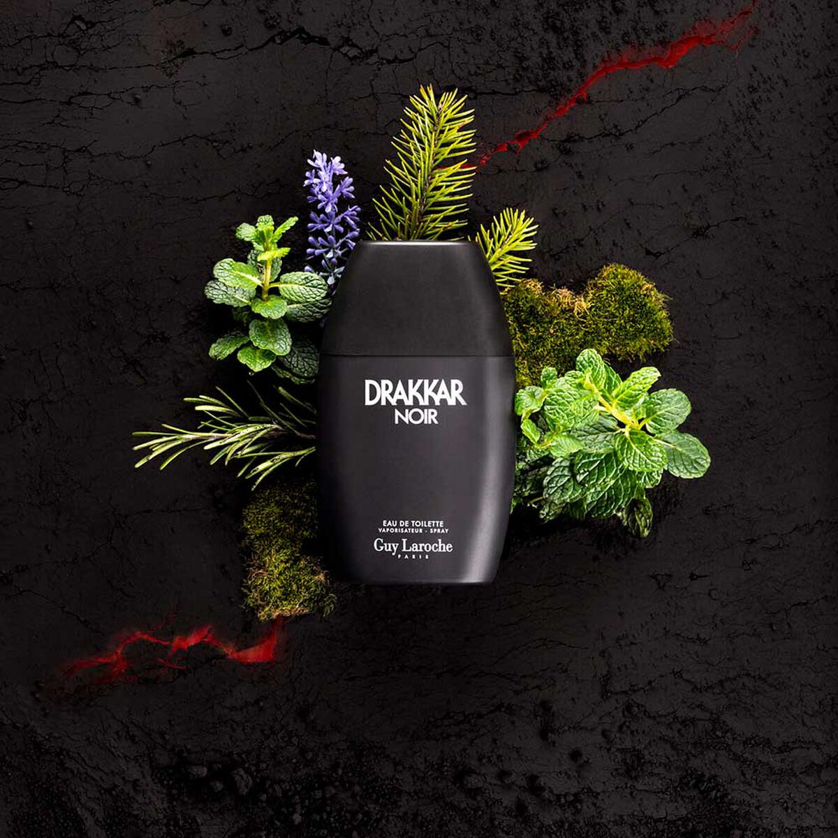 Perfume Hombre Guy Laroche Drakkar Noir Eau de Toilette 30 ML