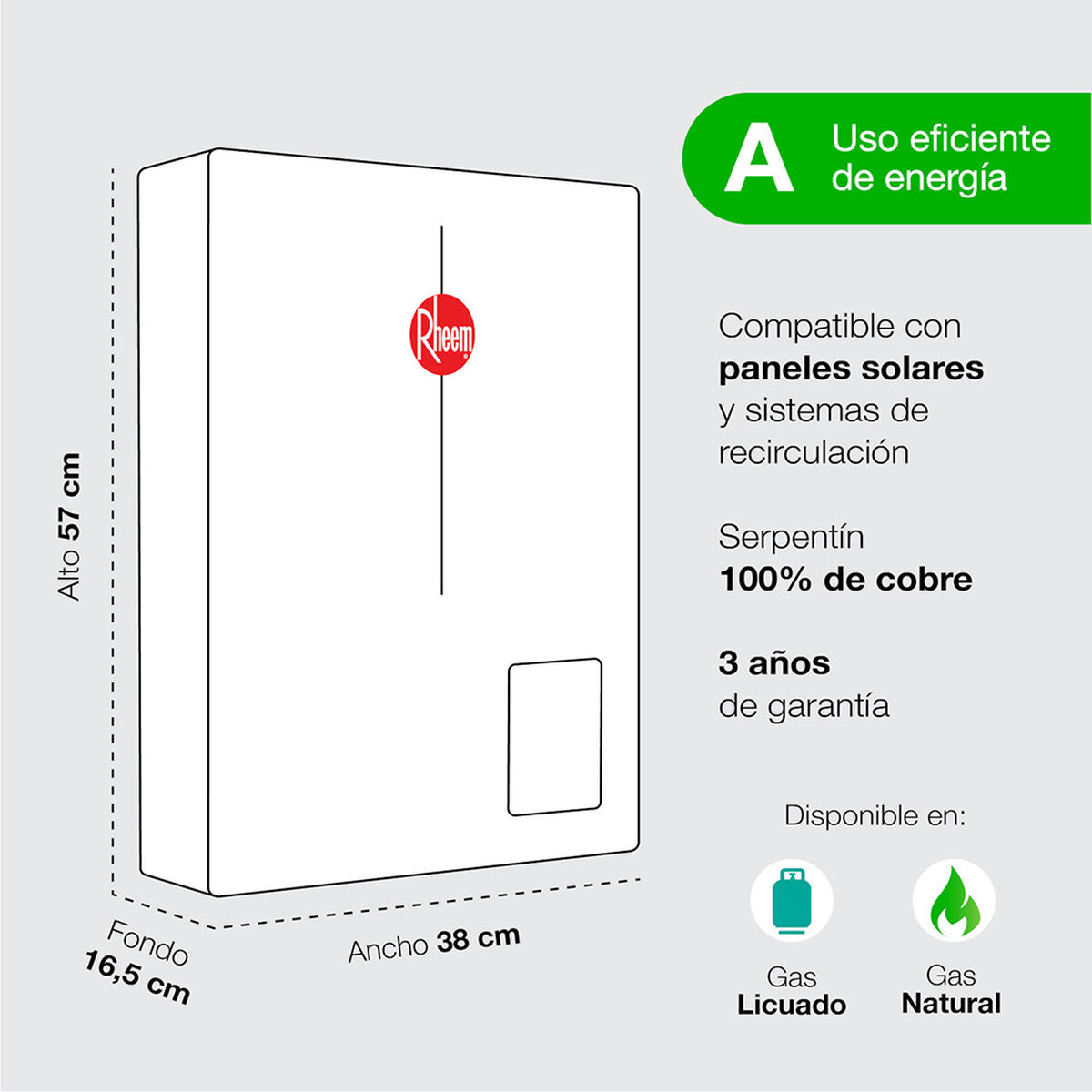 Calefont Gas Licuado Rheem Tiro Forzado Digital 21 lts.