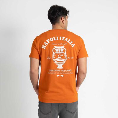 Polera Manga Corta Hombre Zibel