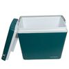 Cooler Electrico Northwest 220V/12V 22 Litros Verde