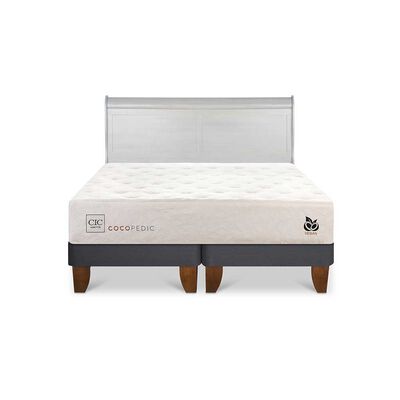 Imagen 1 del producto Cama Europea CIC Base Dividida 2 Plazas Cocopedic + Respaldo Miro Alpino