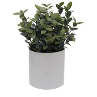 Planta Artificial Cemento Vgo 29 cm Blanco