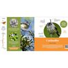 Libro Guía Aves de Chile Varios Autores Editorial Ediciones El Mercurio