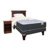 Cama Europea Celta 1,5 Plazas Aloe Vera + Respaldo + Velador + Almohada + Set Textiles