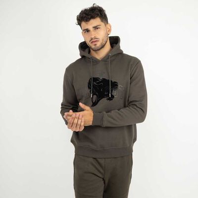 Poler&oacute;n Tigre Hoodie Hombre Zibel