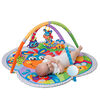 Gimnasio Interactivo Playgro