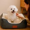 Cama Pawzen Ortop S50x40 Beepet