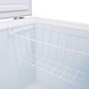 Freezer Horizontal Frío Directo Libero LFH-201EC 199 lts. Blanco