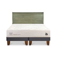 Cama Europea CIC Base Dividida 2 Plazas Cocopedic + Respaldo Miro Olivo