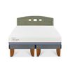 Cama Europea CIC Base Dividida 2 Plazas Excellence Plus + Respaldo Gales Olivo