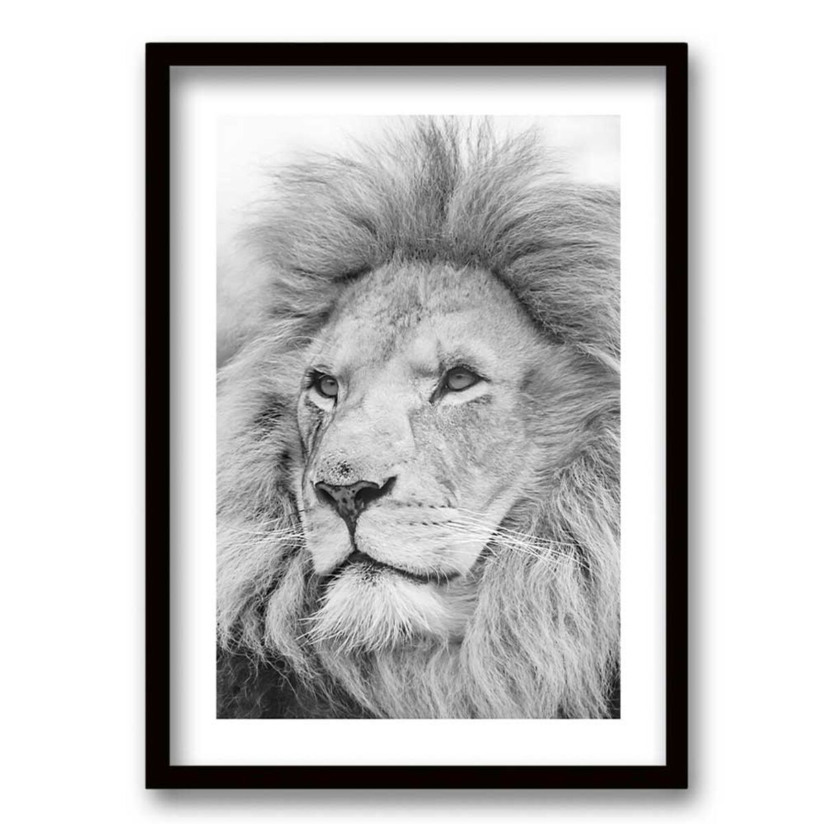 Cuadro Decorativo Retela León Gris 70 x 50 cm