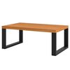 Mesa de Centro Roca Yulton Roble Negro