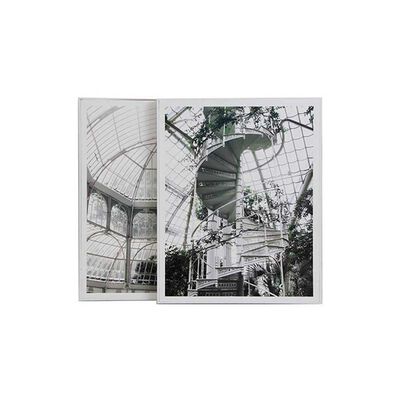 Imagen 2 del producto Set 2 Cuadros para Fotos Plástico Vgo 50 x 40 cm Blanco