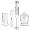 Minipimer Ufesa BP4572 Delux