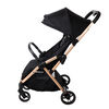 Coches Coche Paseo Spark Plus Gold/Black Safety 1St