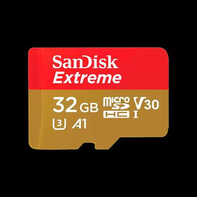Memoria Sandisk SDSQXAF-032GB