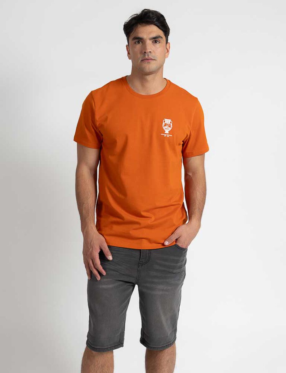 Polera Manga Corta Hombre Zibel