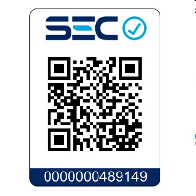 Imagen 2 del producto Plancha a Vapor Kioto Okayama