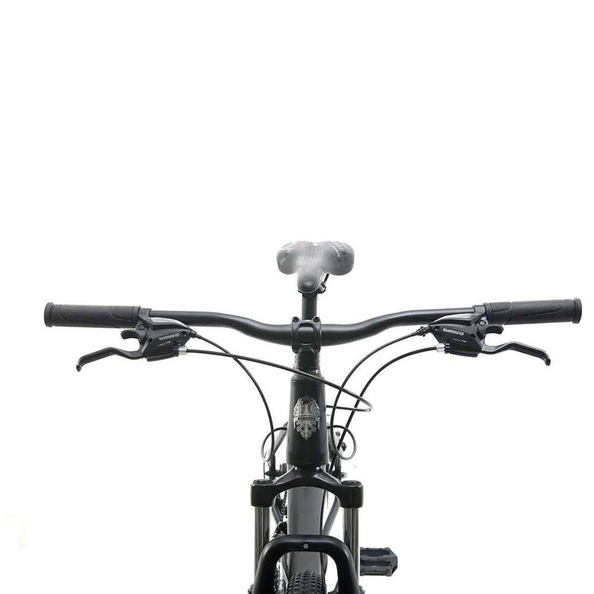 Bicicleta Mountain Bike Bianchi Stone Mtb Aro 29