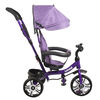 Triciclo Bebesit 1326 Morado