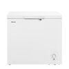Freezer Horizontal Hisense FC-26DD 198 lts.