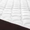 Cama Europea Rosen 2 Plazas Ergo T + 2 Almohadas Light Americana