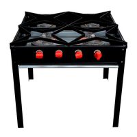 Anafe Ticgas Eco 4 Quemadores Bajo Glp