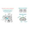 Columpio Mecedora Eléctrico Vibración Ingenuity Lubabycas