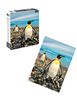 Puzzle 500 Piezas Fauna Chilena Nobel Gift