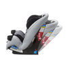 Silla De Auto Convertible Grow And Go Ex Air Lithograph