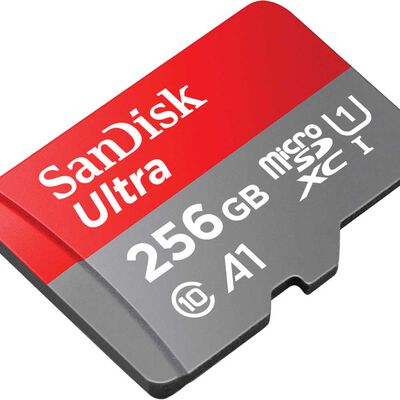 Memoria Sandisk SDSQUAC-256GB