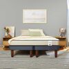 Cama Europea CIC 1,5 Plazas New Titán