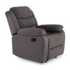 Berger Reclinable Eléctrico Daniels 2011CHGR 1 Cuerpo Gris