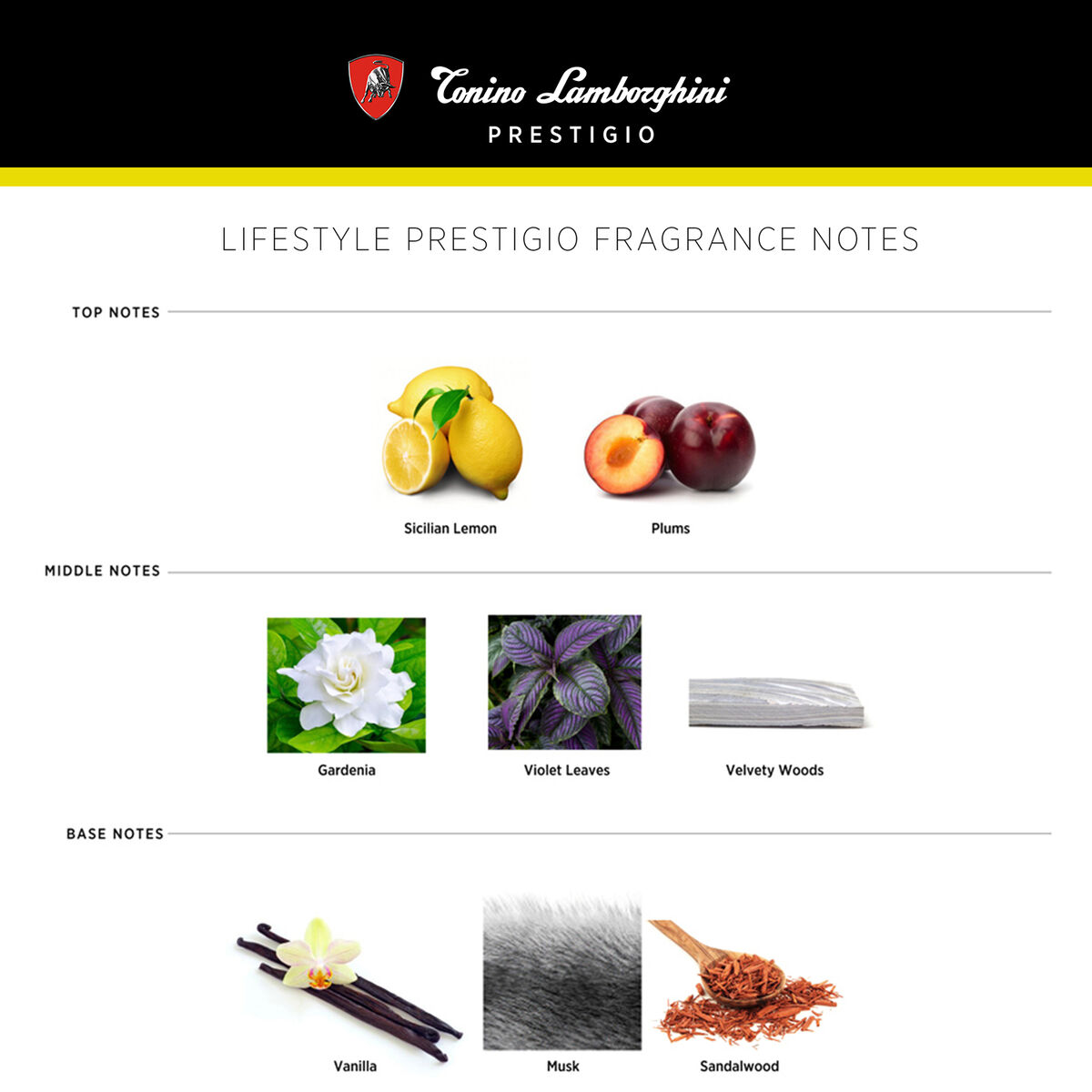 Set Perfume Hombre Tonino Lamborghini Eau de Toilette Prestigio  15 ml + M&iacute;tico 15 ml + Intenso 15 ml + Acqua 15 ml