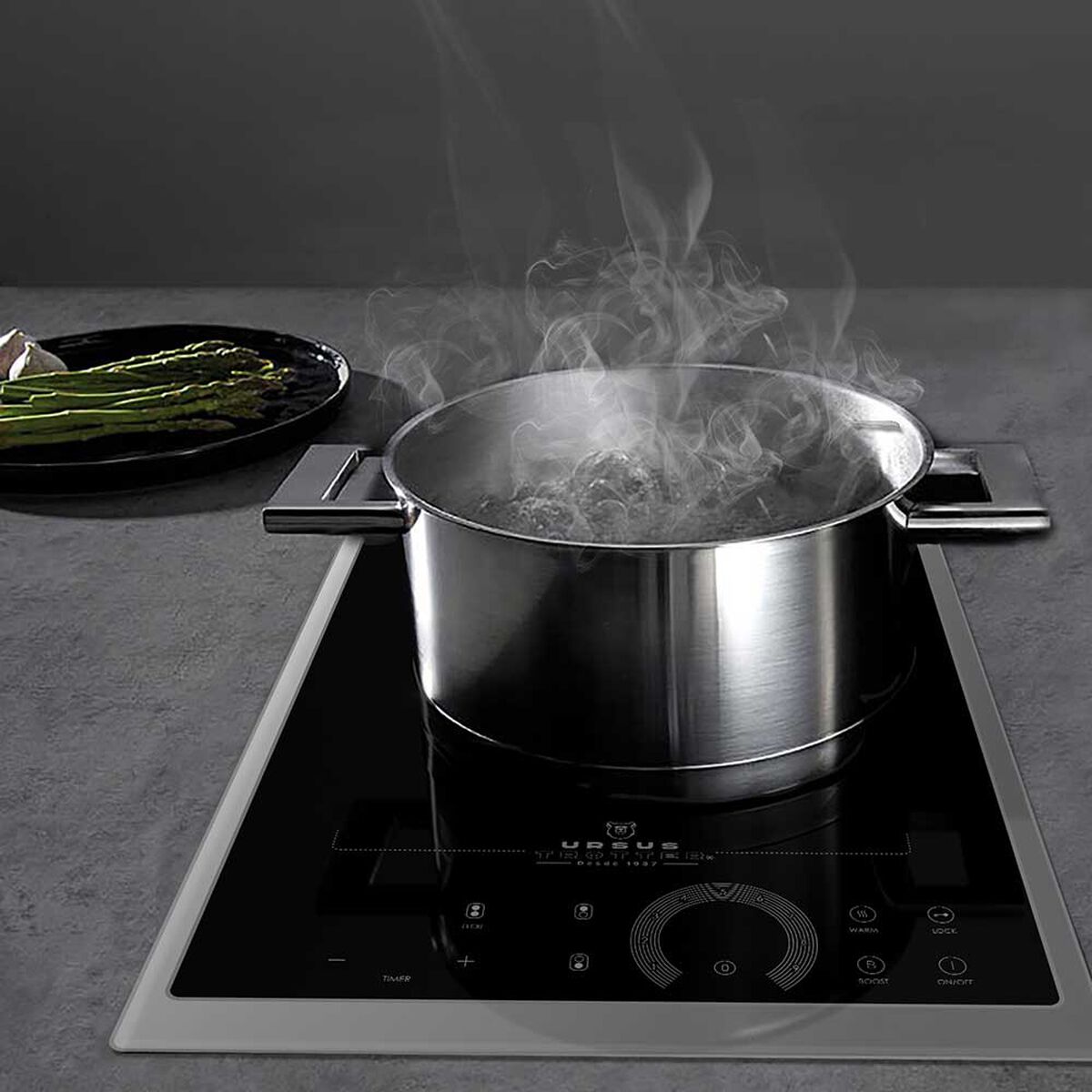 Encimera Inducción Ursus Trotter UT-ICT 2P INOX 2 Quemadores