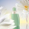 Perfume Cacharel Eden EDP 50 ml