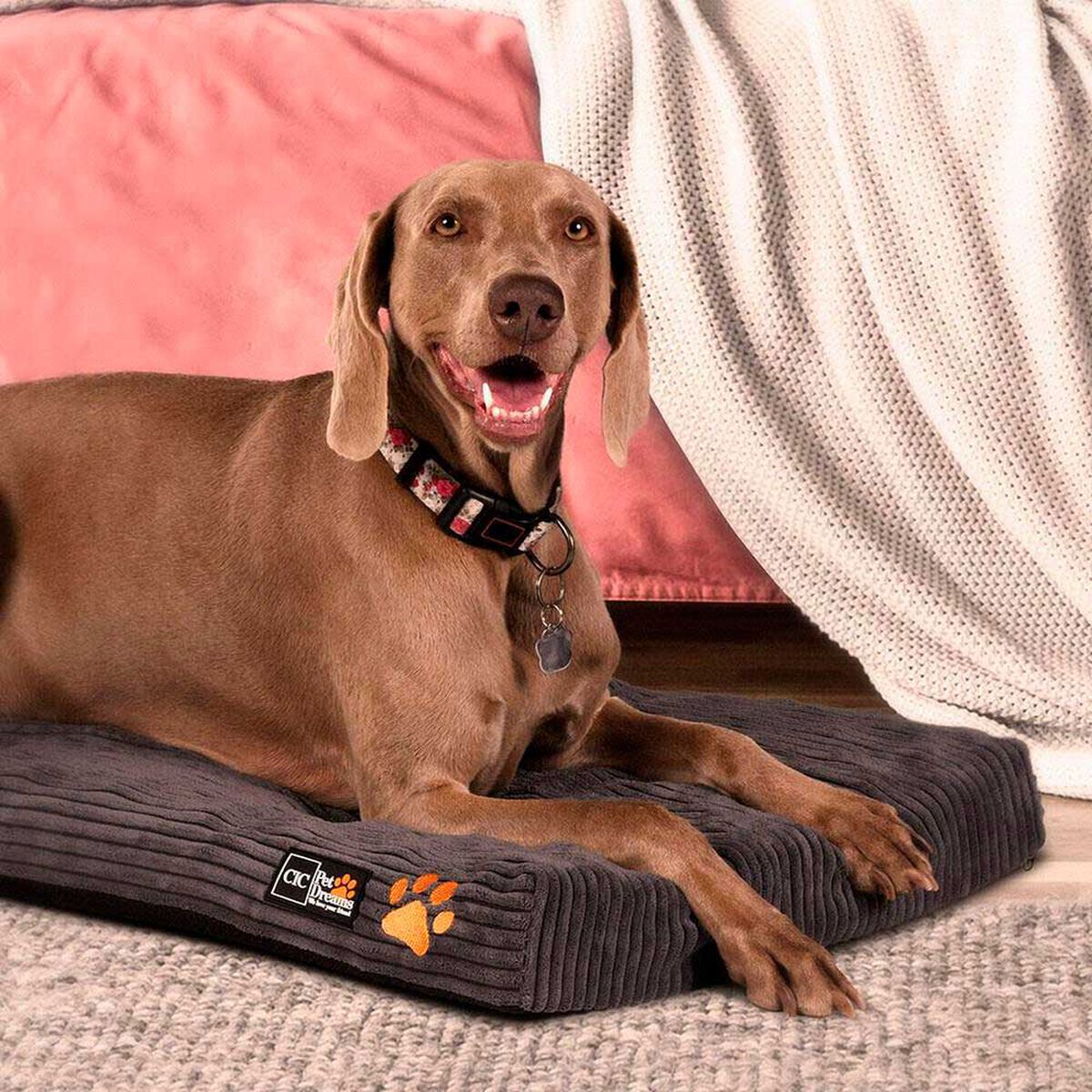 Colch&oacute;n para Mascota CIC Pet Dreams Talla M
