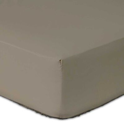 Sábana Inferior Elements & Co 200 Hilos King Liso Beige