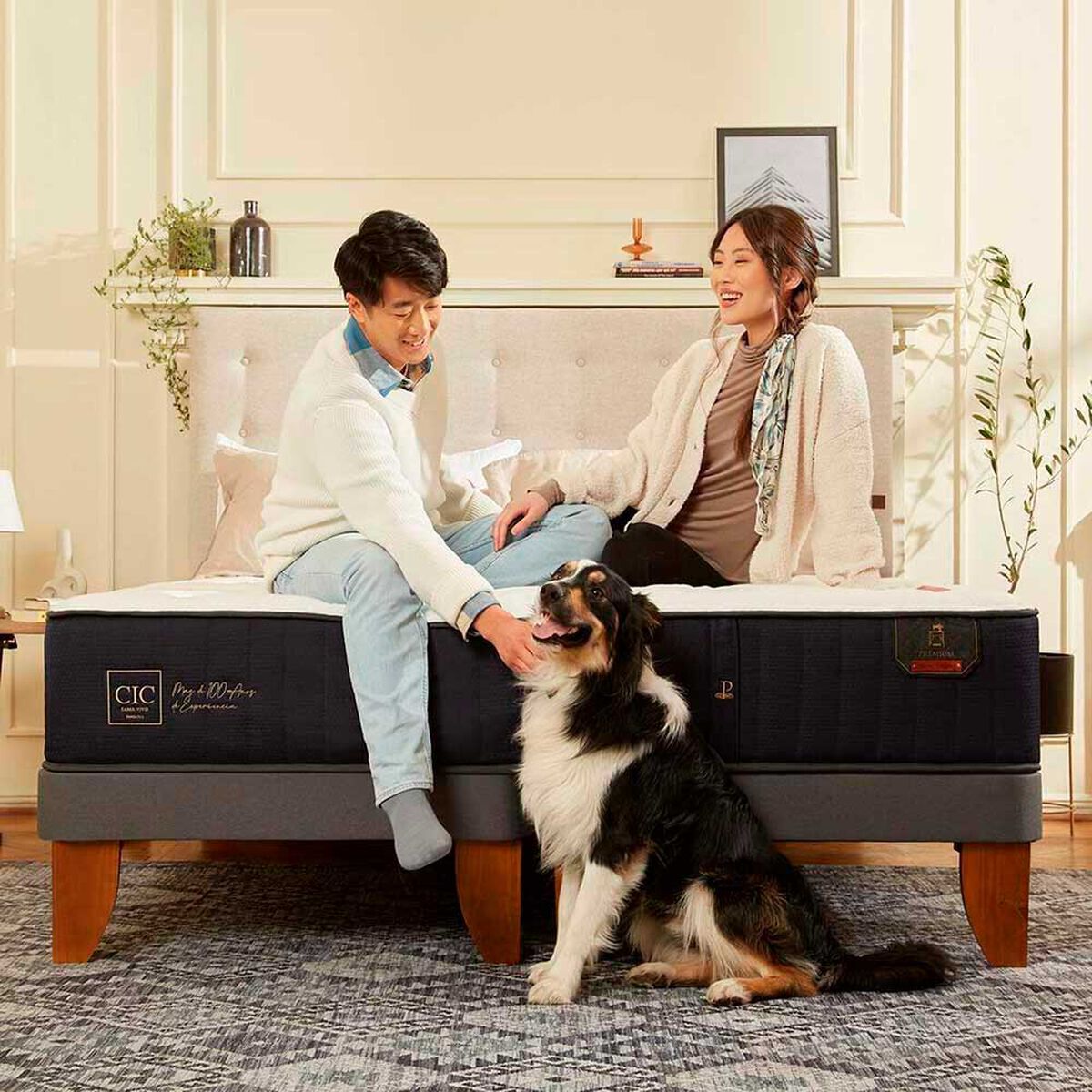 Cama Europea CIC 1,5 Plazas Premium + Respaldo Gales