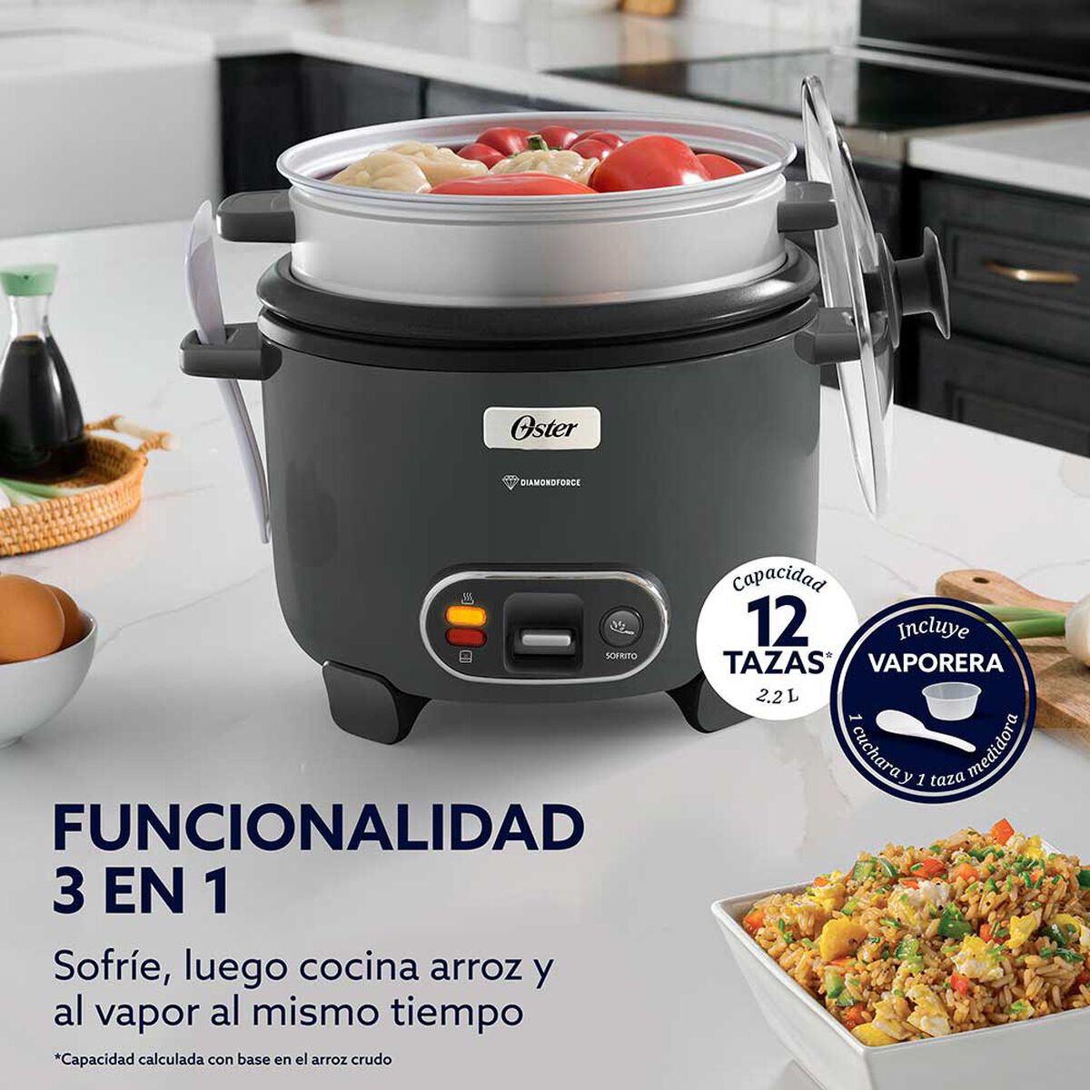 Arrocera Oster CKSTRC12DFSKE-052 2,2 lts.