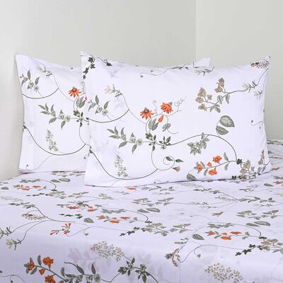 Imagen 1 del producto Juego de Sábanas Estampado Cannon 200 Hilos King Windy