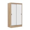 Clóset CIC Caburgua Olmo Alpino 2 Puertas