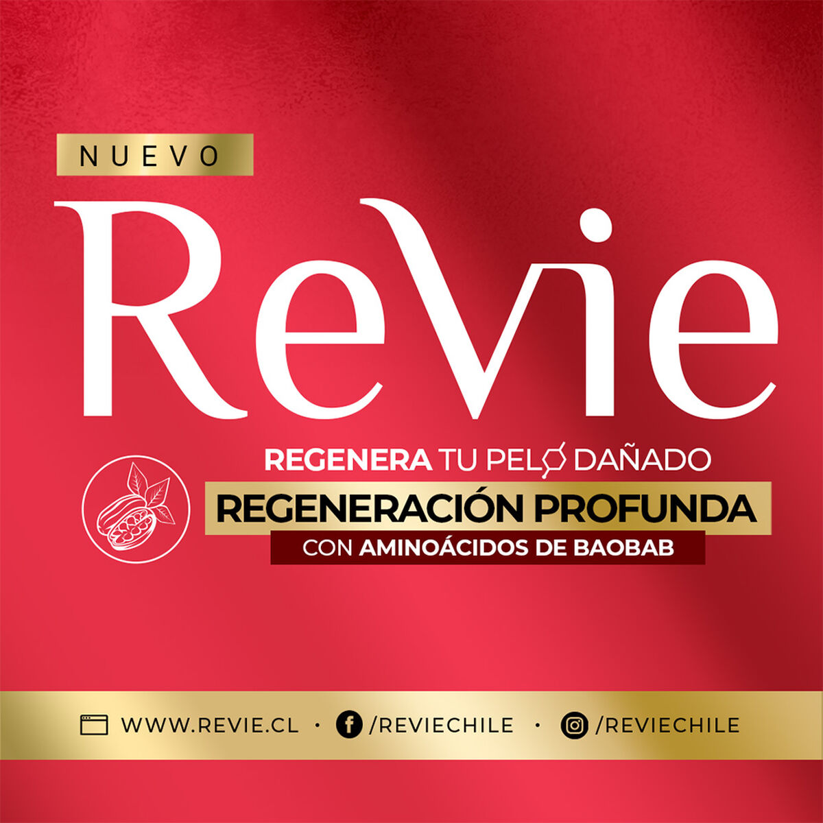 Shampoo Revie Regeneración Profunda 350 ml