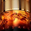 Perfume Azzaro Hombre Forever Wanted Absolu Parfum 100 ml