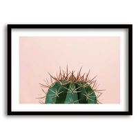 Cuadro Decorativo Retela Pink Cactus 40 x 30 cm