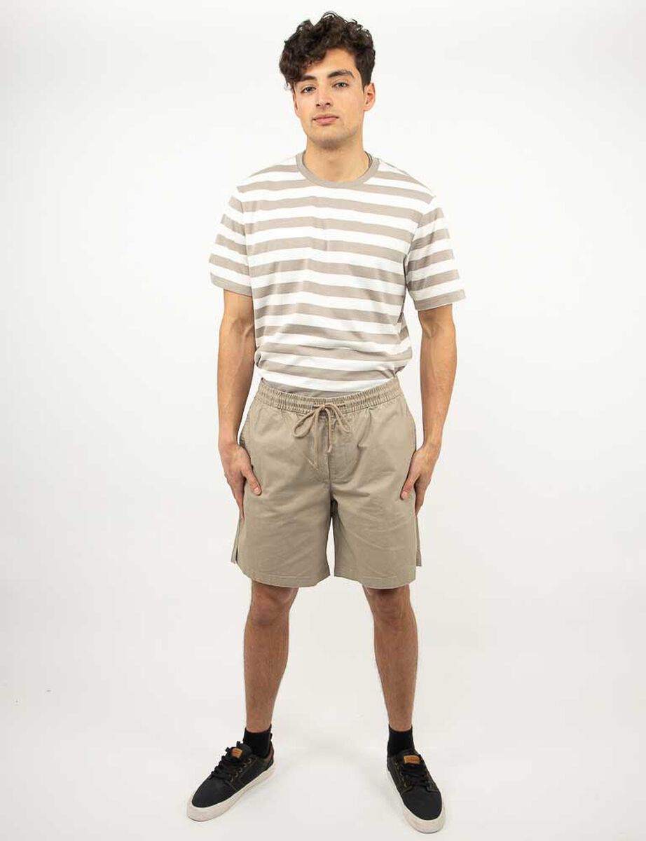 Bermuda Hombre Icono