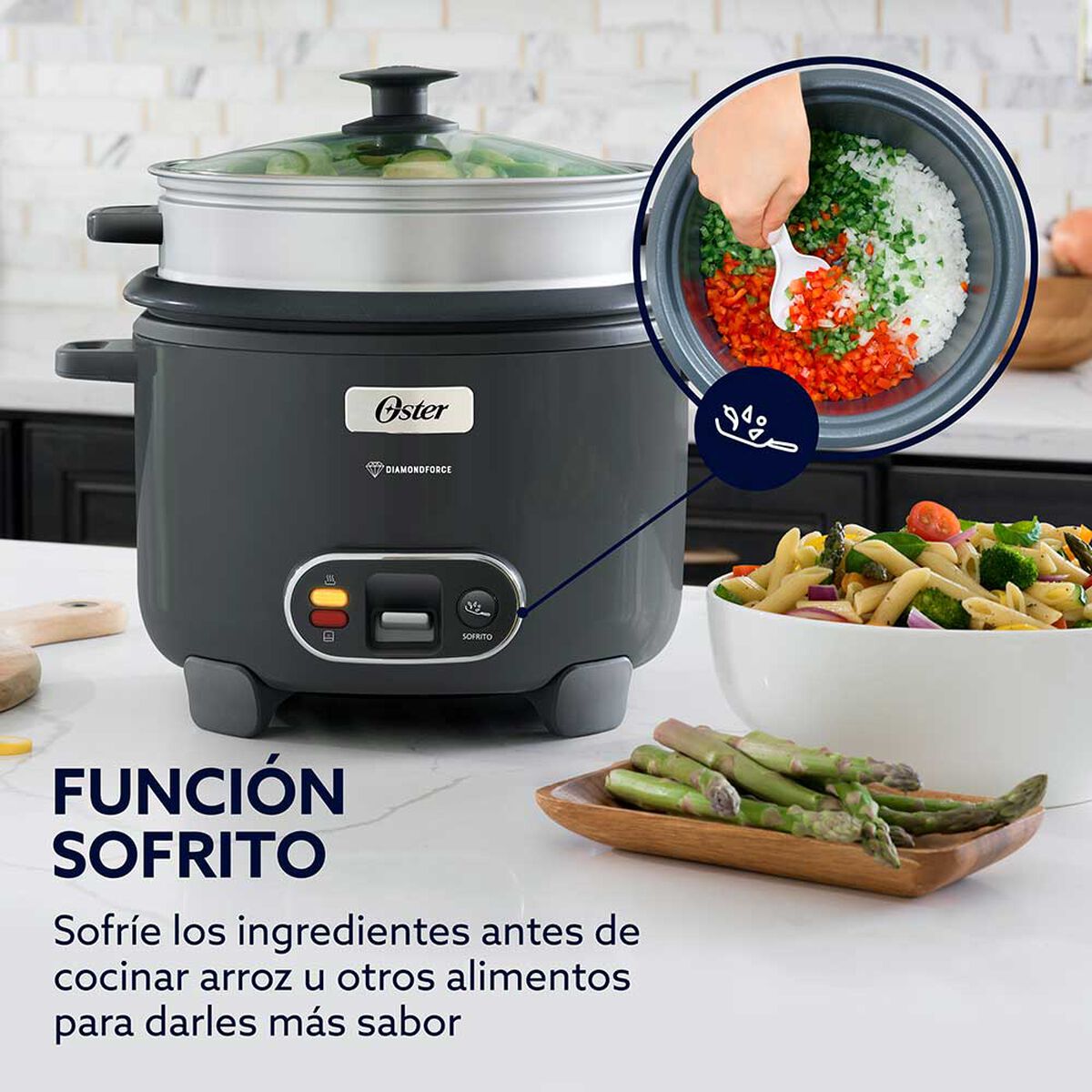 Arrocera Oster CKSTRC12DFSKE-052 2,2 lts.
