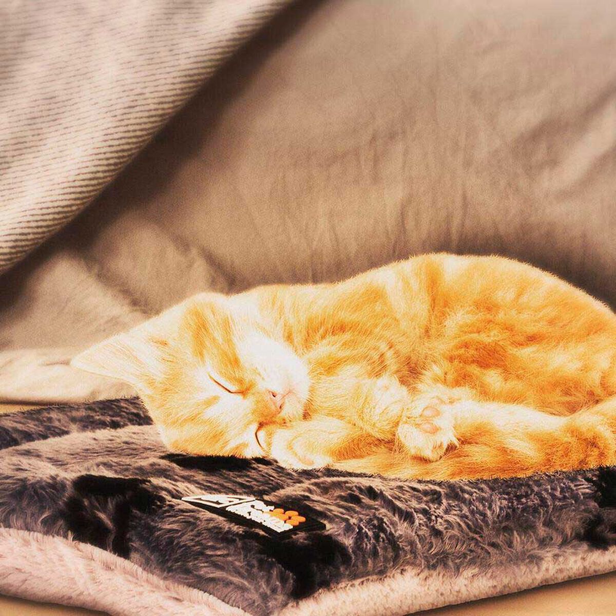 Colch&oacute;n para Mascota CIC Pet Dreams Talla M